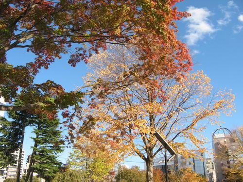 盛岡城跡公園の写真