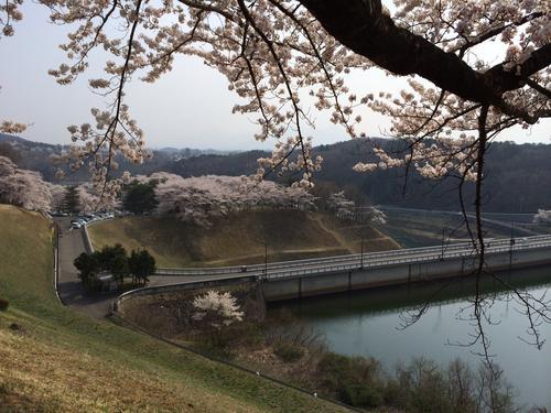 四十四田公園