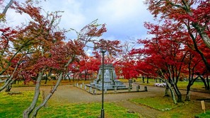 秋の盛岡城