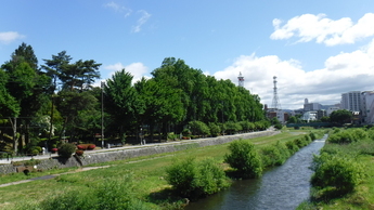 岩手公園のビクトリアロードの写真