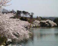 高松の池の写真