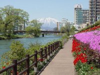 開運橋花壇の写真