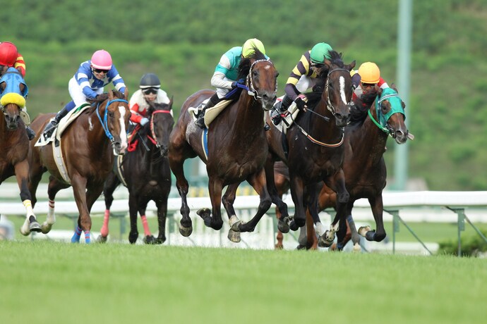 盛岡競馬場の写真