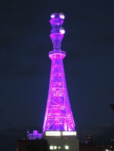 東北電力鉄塔パープルライトアップ