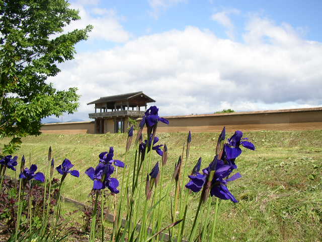 志波城古代公園の写真