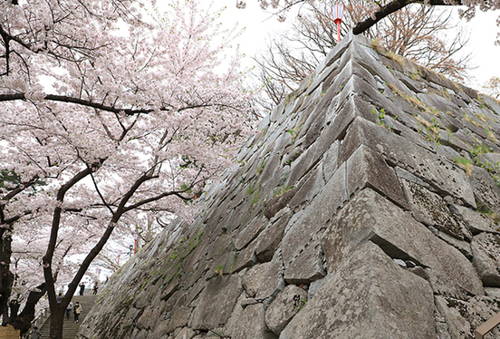 盛岡城跡公園の写真