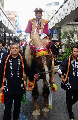 写真：チャグチャグ馬コ1