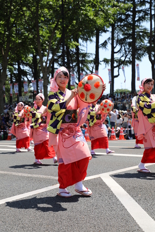 東北絆まつり（山形花笠まつり）の写真