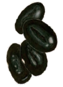 黒平豆の写真