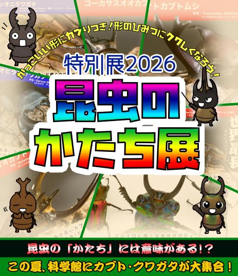 2026年度特別展「昆虫のかたち展」ポスター画像