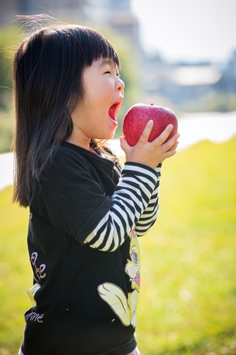 盛岡りんごを食べる女の子の写真