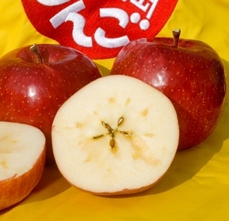 りんごの花の画像