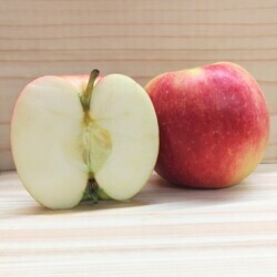 さんさりんごの写真
