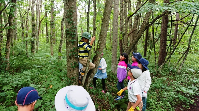 姫神山登山の様子