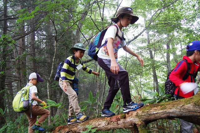 姫神山登山の様子