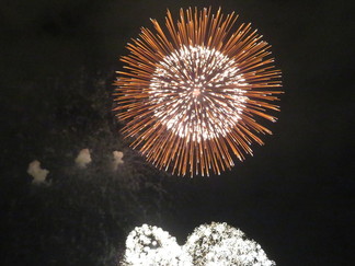 盛岡花火の祭典の写真2