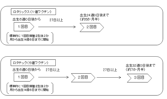 ロタ予防接種スケジュール