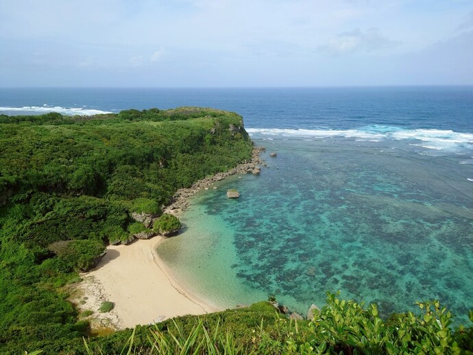 派遣事業の様子の写真