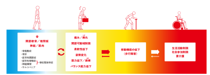 運動器（骨・関節・筋肉・神経など）の障害によって、立ったり歩いたりするための身体能力が低下した状態がロコモです。ロコモが進行すると、将来介護が必要になるリスクが高くなります。