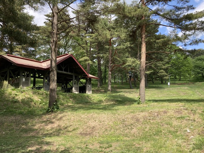 写真：姫神山一本杉園地