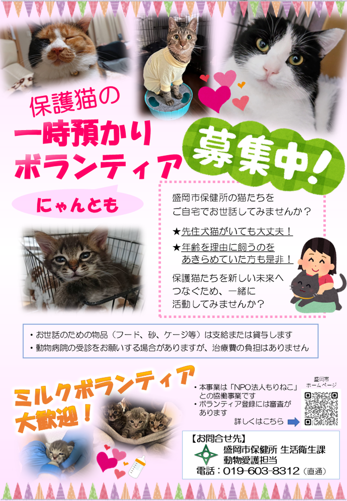 保護猫一時預かりボランティアを募集しています。