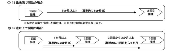 9価HPVワクチン接種スケジュール