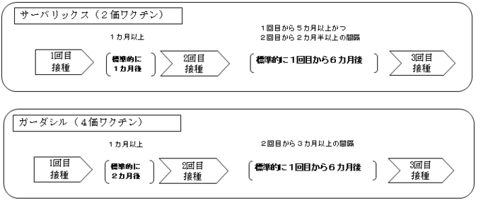 hpv-sukejuru