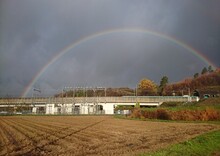 「虹と新幹線」