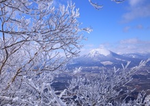 「白雪姫」