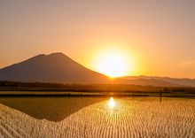 「初夏の夕暮れ」