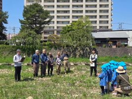 あゆの稚魚放流の写真