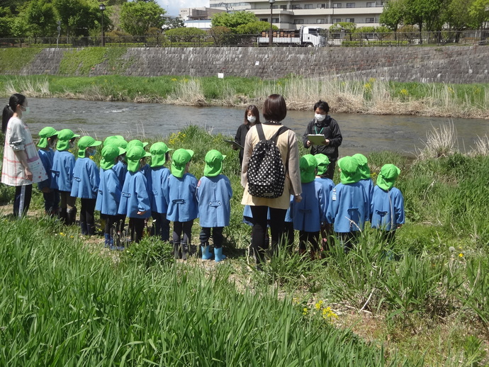 やまめの稚魚放流会の様子
