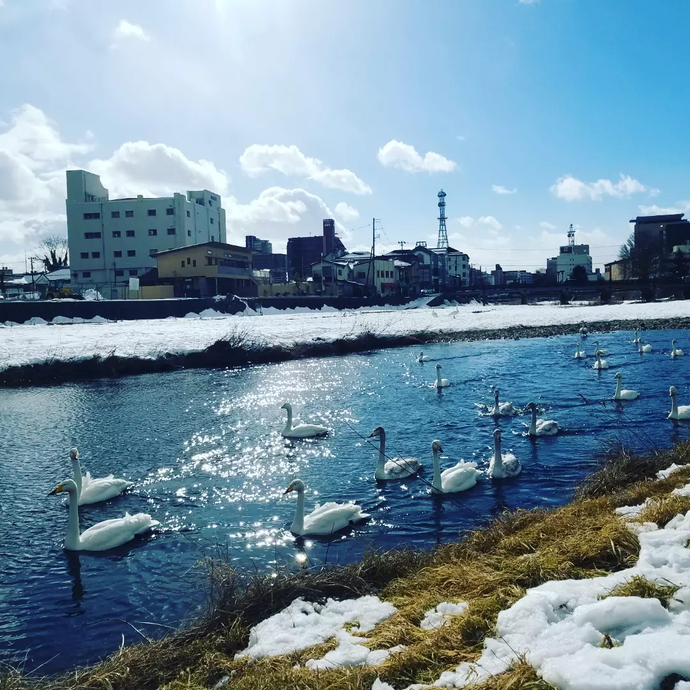 中津川の写真