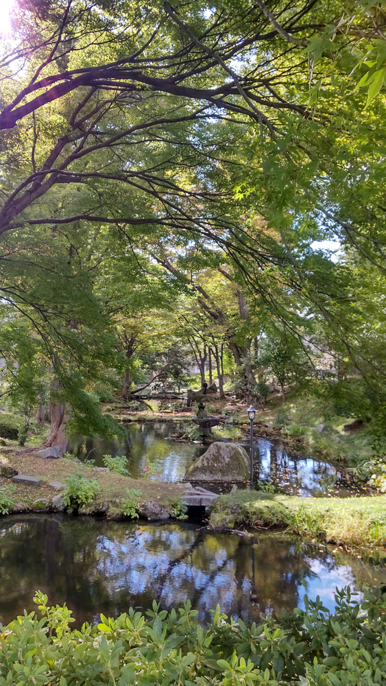 鶴が池の写真