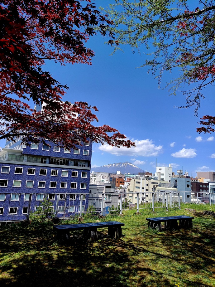 盛岡城跡公園の写真