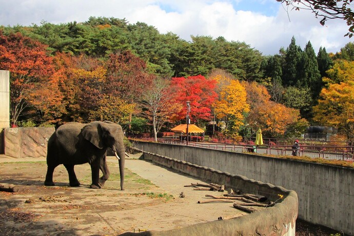 盛岡市動物公園の写真