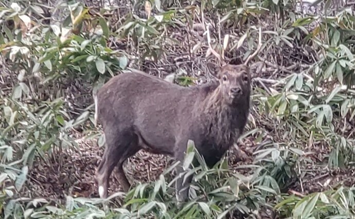 協力隊活動報告（令和5年3月）写真3