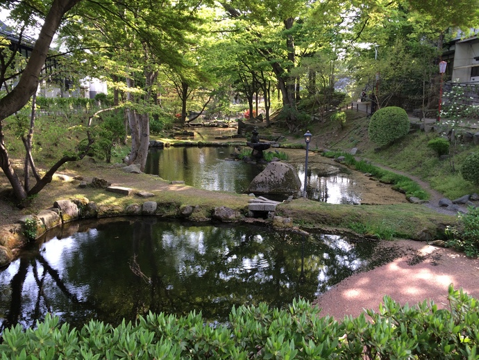 櫻山神社隣接の池の写真