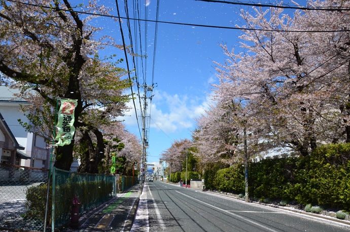 城南小学校付近の写真