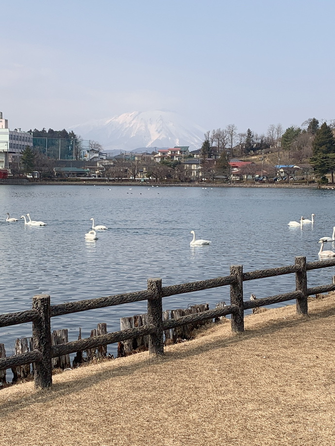 高松の池の写真