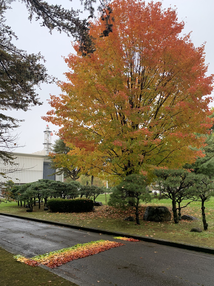 盛岡城跡公園の写真