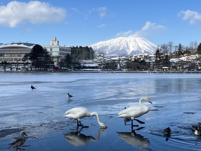 高松の池の写真