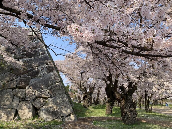 盛岡城跡公園の写真