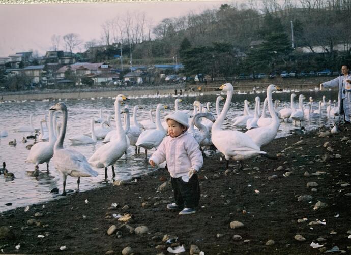 高松の池の写真