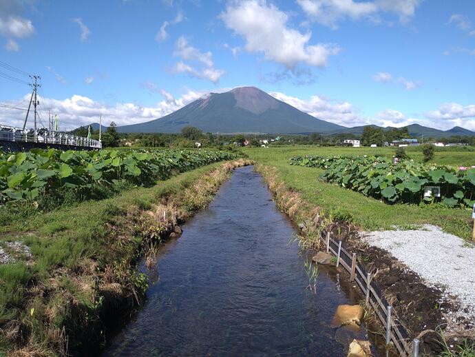 玉山の写真