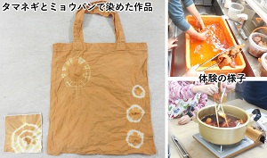 草木染め体験教室の写真　タマネギで染めたもの、作業の様子