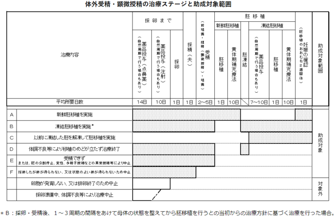 体外受精・顕微授精の治療ステージと助成対象範囲