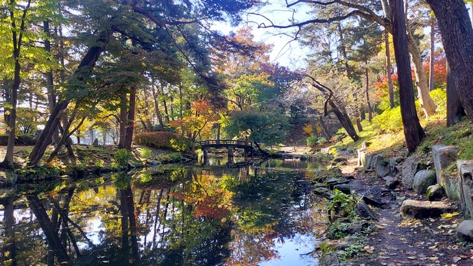 盛岡城跡公園紅葉の写真
