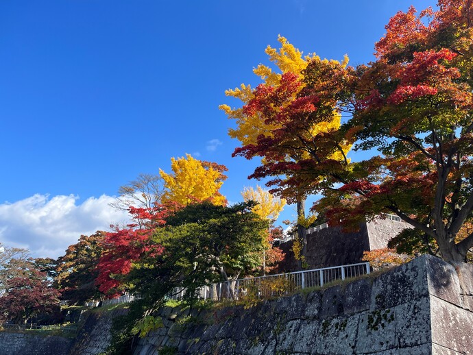 紅葉の写真