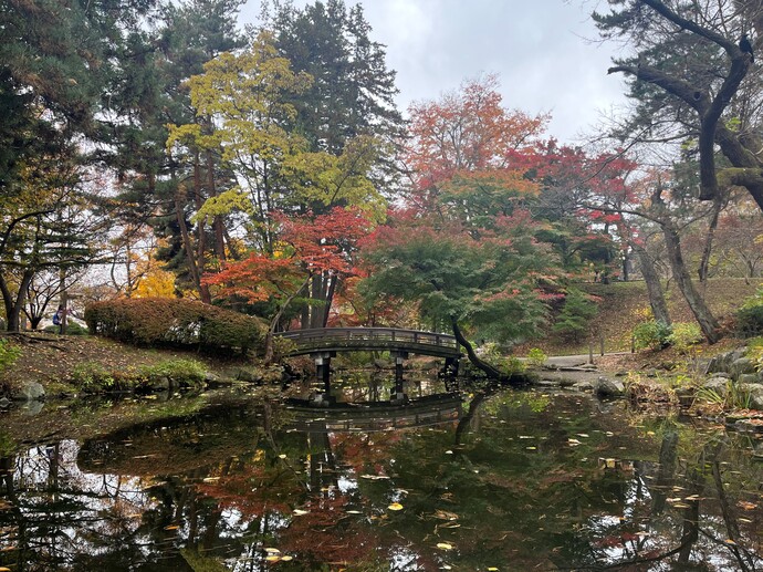 盛岡城跡公園紅葉の写真